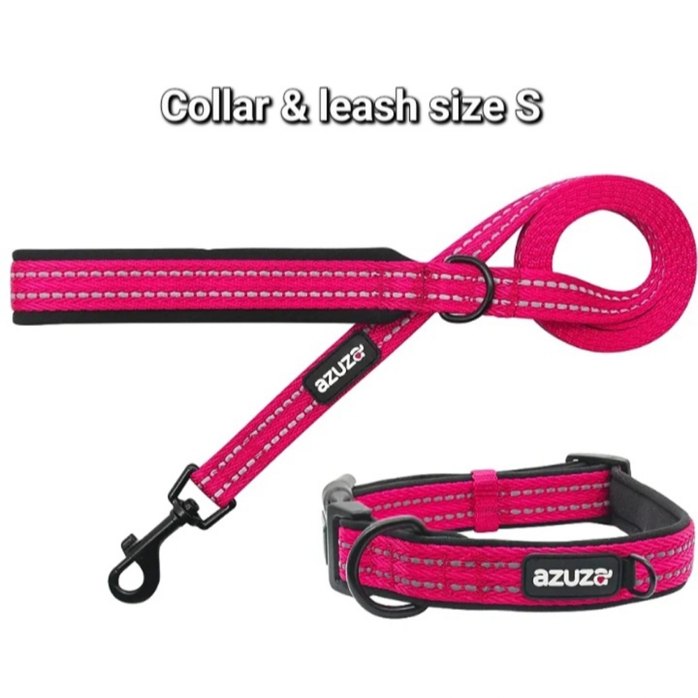 Dog Leash and Collar Set, Reflective Padded Durable Extra Safe and Comfy Size S